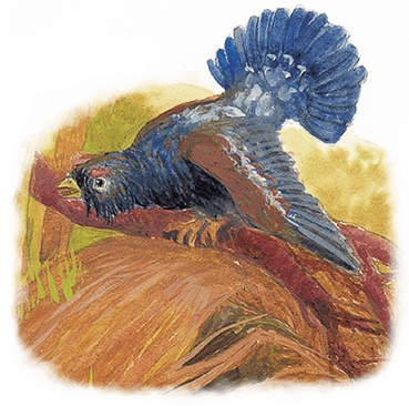 Иллюстрация к книге — Жук на ниточке [i_040.jpg]