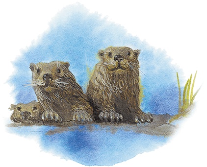 Иллюстрация к книге — Жук на ниточке [i_045.jpg]