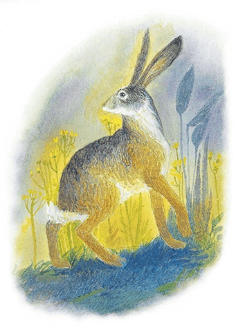 Иллюстрация к книге — Жук на ниточке [i_048.jpg]