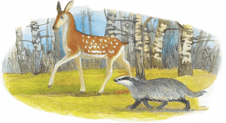 Иллюстрация к книге — Жук на ниточке [i_050.jpg]