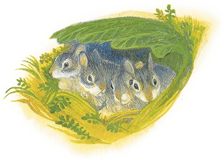 Иллюстрация к книге — Жук на ниточке [i_052.jpg]