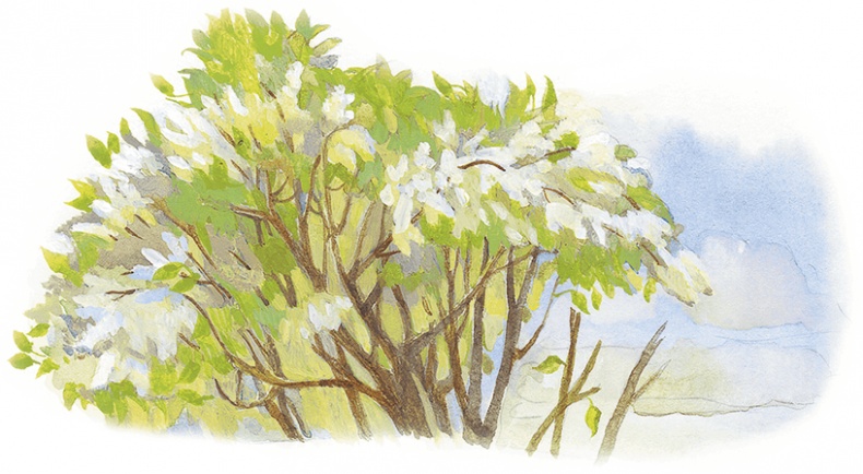 Иллюстрация к книге — Жук на ниточке [i_053.jpg]