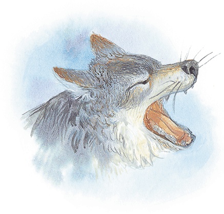 Иллюстрация к книге — Жук на ниточке [i_056.jpg]