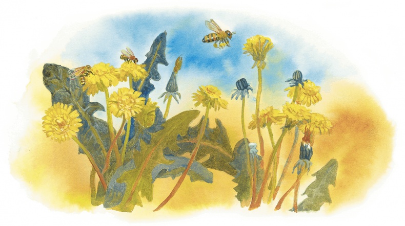 Иллюстрация к книге — Жук на ниточке [i_060.jpg]