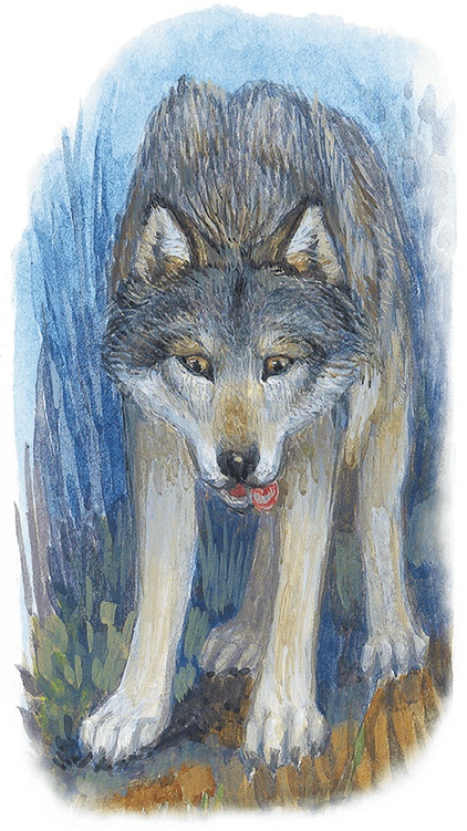 Иллюстрация к книге — Жук на ниточке [i_064.jpg]