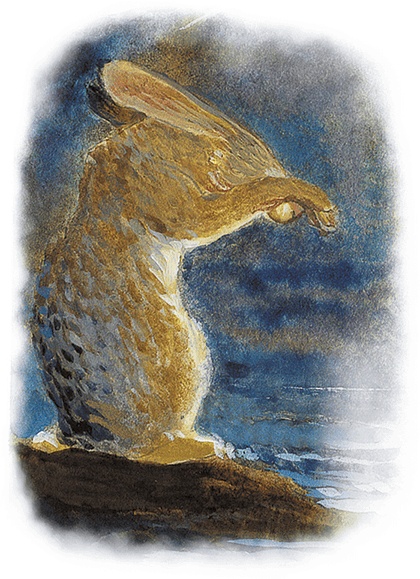 Иллюстрация к книге — Жук на ниточке [i_068.jpg]