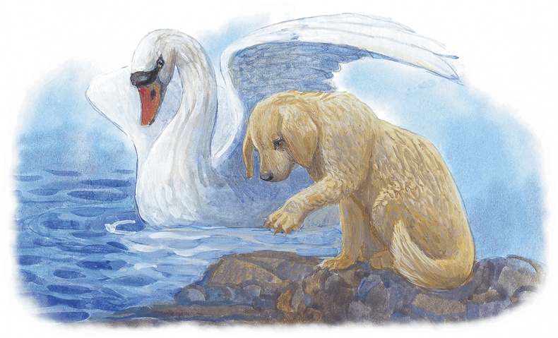 Иллюстрация к книге — Жук на ниточке [i_073.jpg]