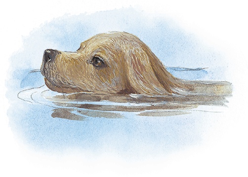 Иллюстрация к книге — Жук на ниточке [i_075.jpg]