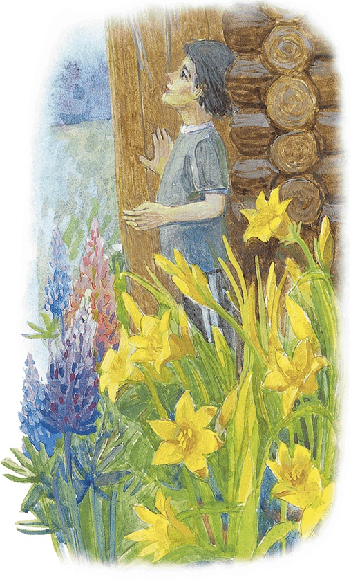 Иллюстрация к книге — Жук на ниточке [i_078.jpg]