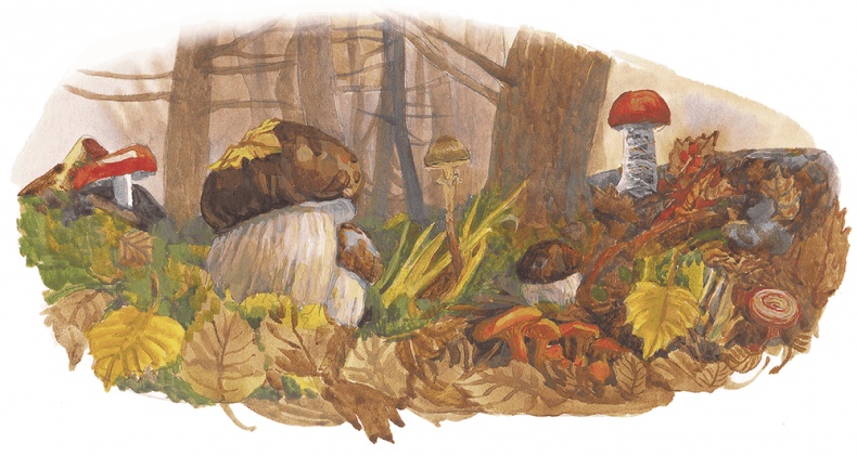 Иллюстрация к книге — Жук на ниточке [i_089.jpg]