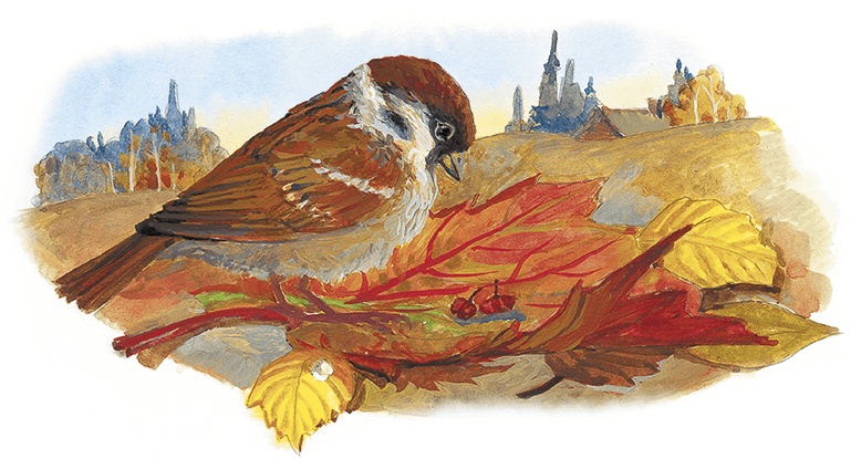 Иллюстрация к книге — Жук на ниточке [i_091.jpg]