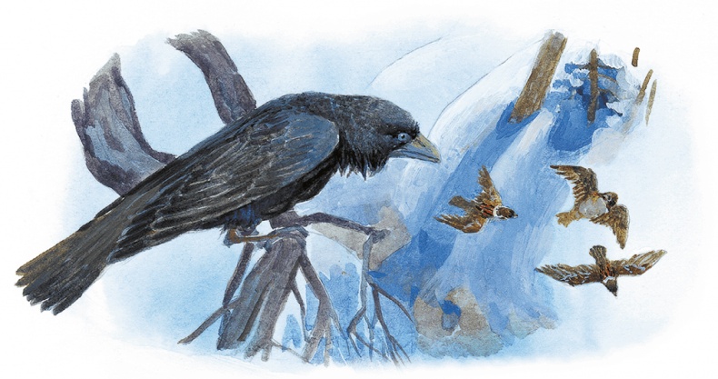 Иллюстрация к книге — Жук на ниточке [i_094.jpg]