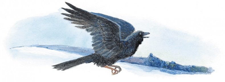 Иллюстрация к книге — Жук на ниточке [i_096.jpg]