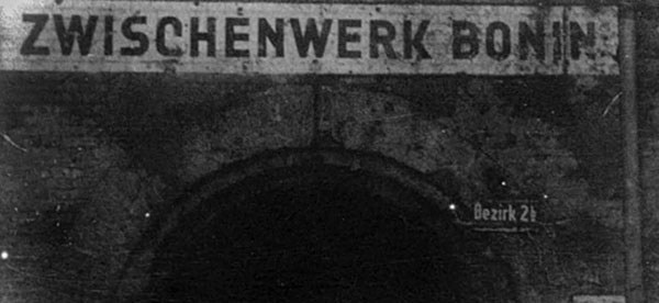 Иллюстрация к книге — Дорога на Берлин. "От победы к победе" [_290.jpg]