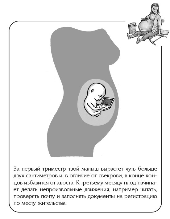 Иллюстрация к книге — Беременная, муж и баночка анализов [i_011.jpg]