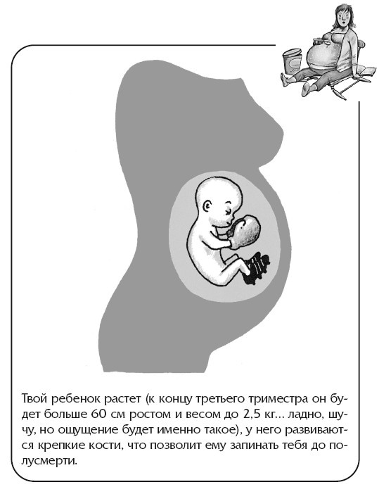 Иллюстрация к книге — Беременная, муж и баночка анализов [i_017.jpg]