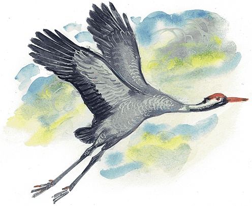 Иллюстрация к книге — Гусиный остров (сборник) [i_001.jpg]