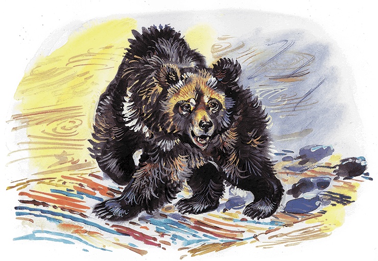 Иллюстрация к книге — Гусиный остров (сборник) [i_006.jpg]