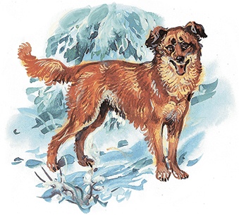 Иллюстрация к книге — Гусиный остров (сборник) [i_011.jpg]