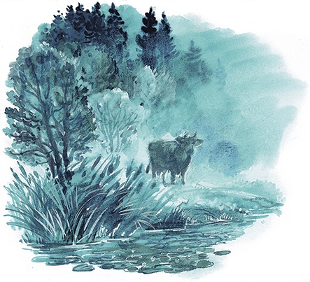 Иллюстрация к книге — Гусиный остров (сборник) [i_016.jpg]