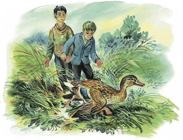 Иллюстрация к книге — Гусиный остров (сборник) [i_019.jpg]