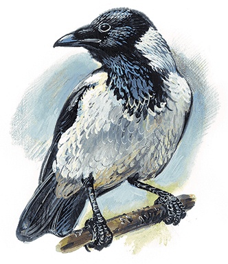 Иллюстрация к книге — Гусиный остров (сборник) [i_027.jpg]