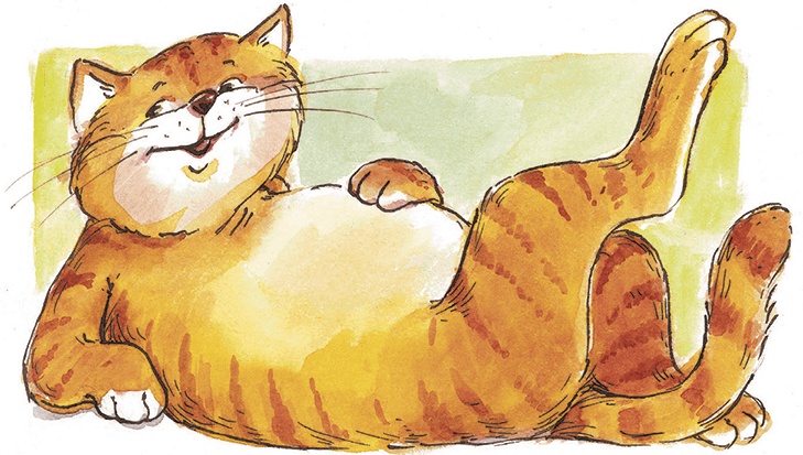 Иллюстрация к книге — Приключения машинки Кнопки [i_030.jpg]