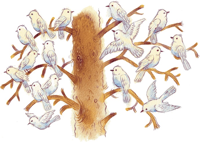 Иллюстрация к книге — Храбрый утенок [i_003.jpg]