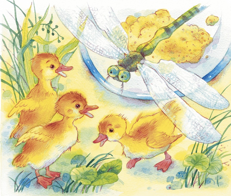 Иллюстрация к книге — Храбрый утенок [i_010.jpg]