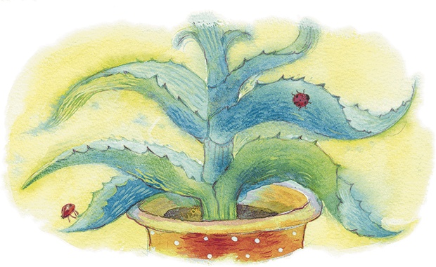 Иллюстрация к книге — Храбрый утенок [i_020.jpg]