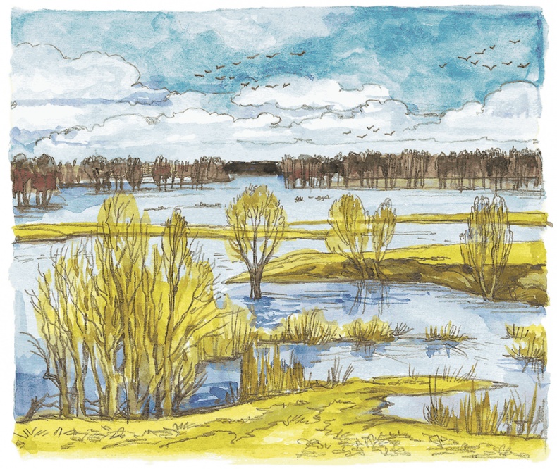 Иллюстрация к книге — Лисичкин хлеб [i_004.jpg]