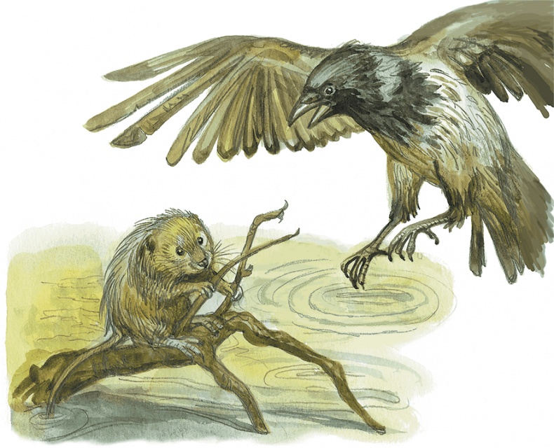 Иллюстрация к книге — Лисичкин хлеб [i_008.jpg]