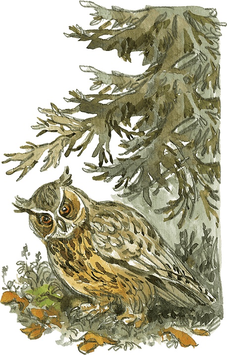 Иллюстрация к книге — Лисичкин хлеб [i_014.jpg]