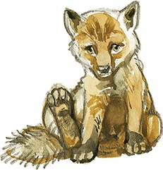 Иллюстрация к книге — Лисичкин хлеб [i_026.jpg]