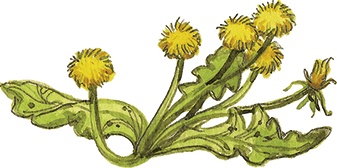 Иллюстрация к книге — Лисичкин хлеб [i_030.jpg]