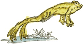 Иллюстрация к книге — Лисичкин хлеб [i_034.jpg]