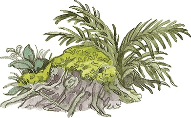 Иллюстрация к книге — Лисичкин хлеб [i_035.jpg]