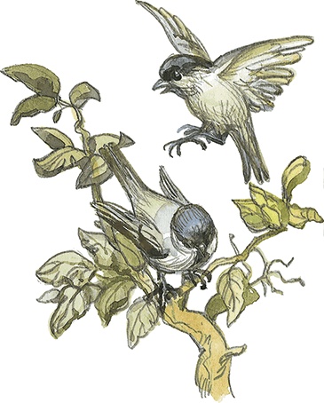 Иллюстрация к книге — Лисичкин хлеб [i_040.jpg]