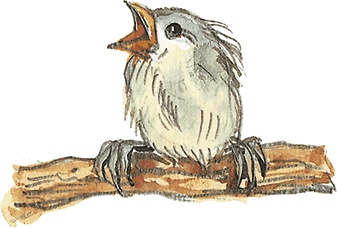 Иллюстрация к книге — Лисичкин хлеб [i_041.jpg]