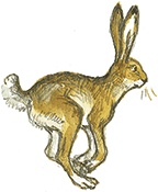 Иллюстрация к книге — Лисичкин хлеб [i_045.jpg]