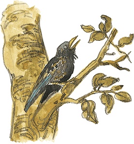 Иллюстрация к книге — Лисичкин хлеб [i_046.jpg]