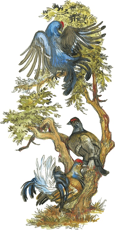 Иллюстрация к книге — Лисичкин хлеб [i_052.jpg]