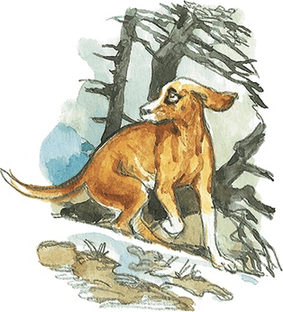 Иллюстрация к книге — Лисичкин хлеб [i_061.jpg]