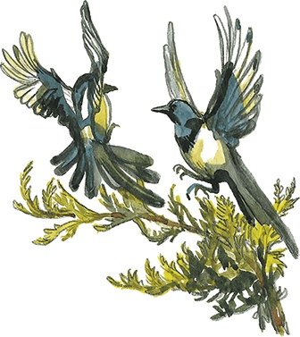 Иллюстрация к книге — Лисичкин хлеб [i_062.jpg]