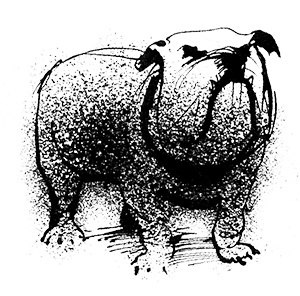 Иллюстрация к книге — Путешествие на Тандадрику [i_009.jpg]