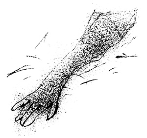 Иллюстрация к книге — Путешествие на Тандадрику [i_010.jpg]