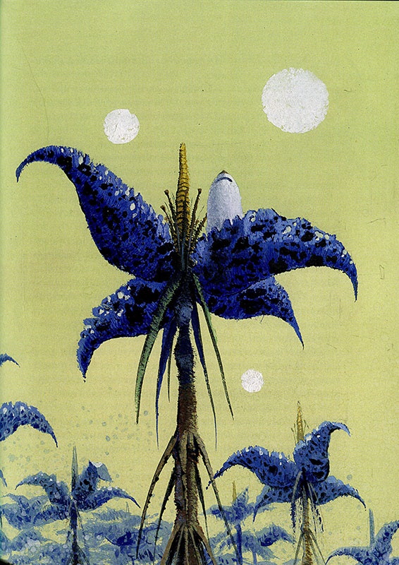 Иллюстрация к книге — Путешествие на Тандадрику [i_018.jpg]