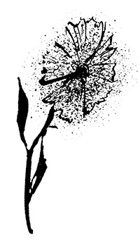 Иллюстрация к книге — Путешествие на Тандадрику [i_029.jpg]