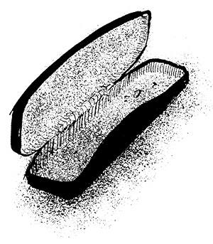 Иллюстрация к книге — Путешествие на Тандадрику [i_036.jpg]