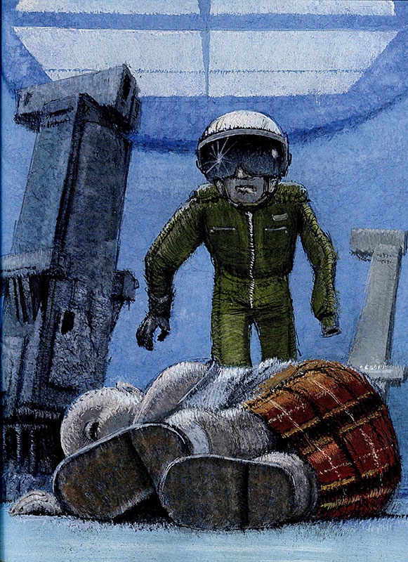 Иллюстрация к книге — Путешествие на Тандадрику [i_039.jpg]